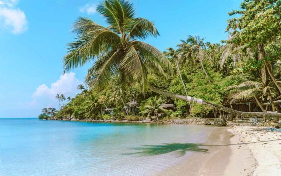 Cómo ir de Koh Samui a Koh Phangan tailandia