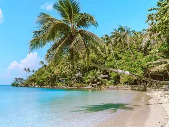 Cómo ir de Koh Samui a Koh Phangan tailandia