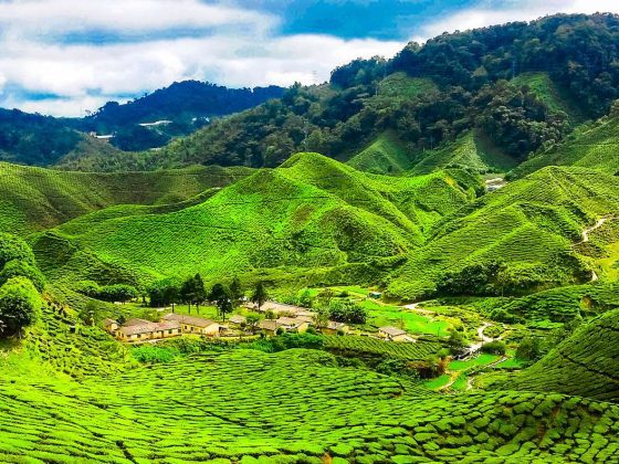 Cómo ir de Kuala Lumpur a Cameron Highlands malasia
