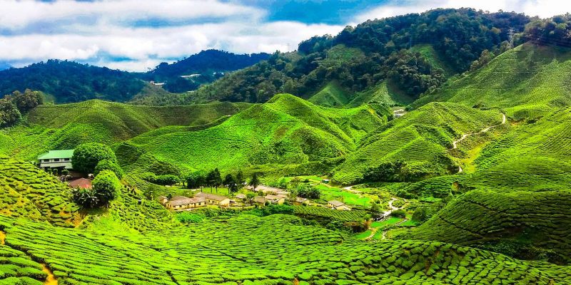 Cómo ir de Kuala Lumpur a Cameron Highlands malasia