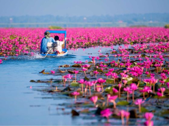 Cómo ir de Bangkok a Udon Thani tailandia