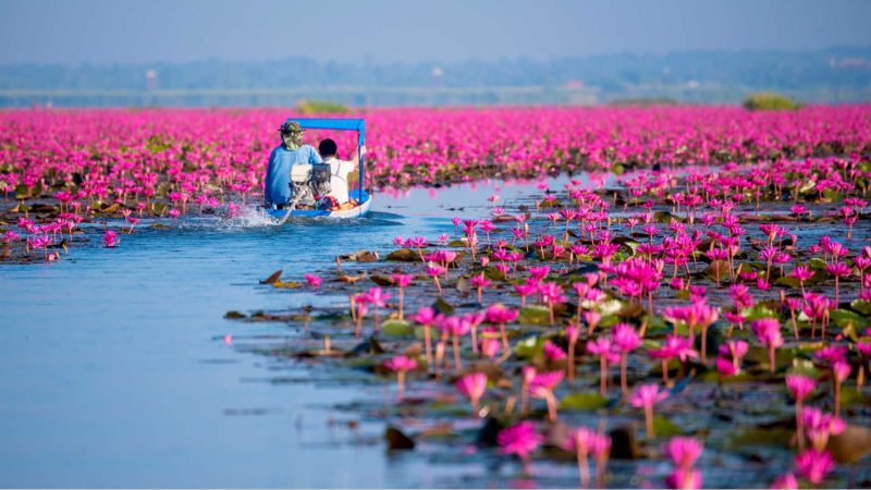 Cómo ir de Bangkok a Udon Thani tailandia