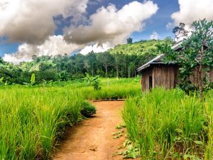 camboya ir de Phnom Penh a Mondulkiri