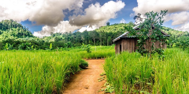 camboya ir de Phnom Penh a Mondulkiri