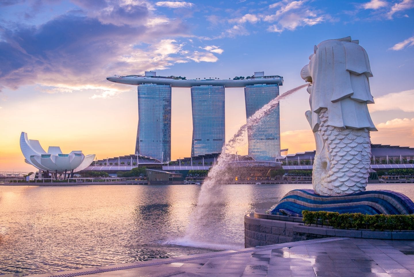ir desde Singapur