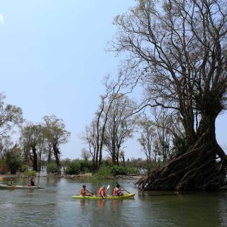 Camboya ir de Siem Reap a Stung Treng